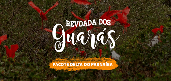 Revoada dos Guarás - Pacote Delta do Parnaíba