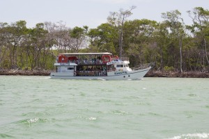 Passeio ao Delta do Parnaíba (2)